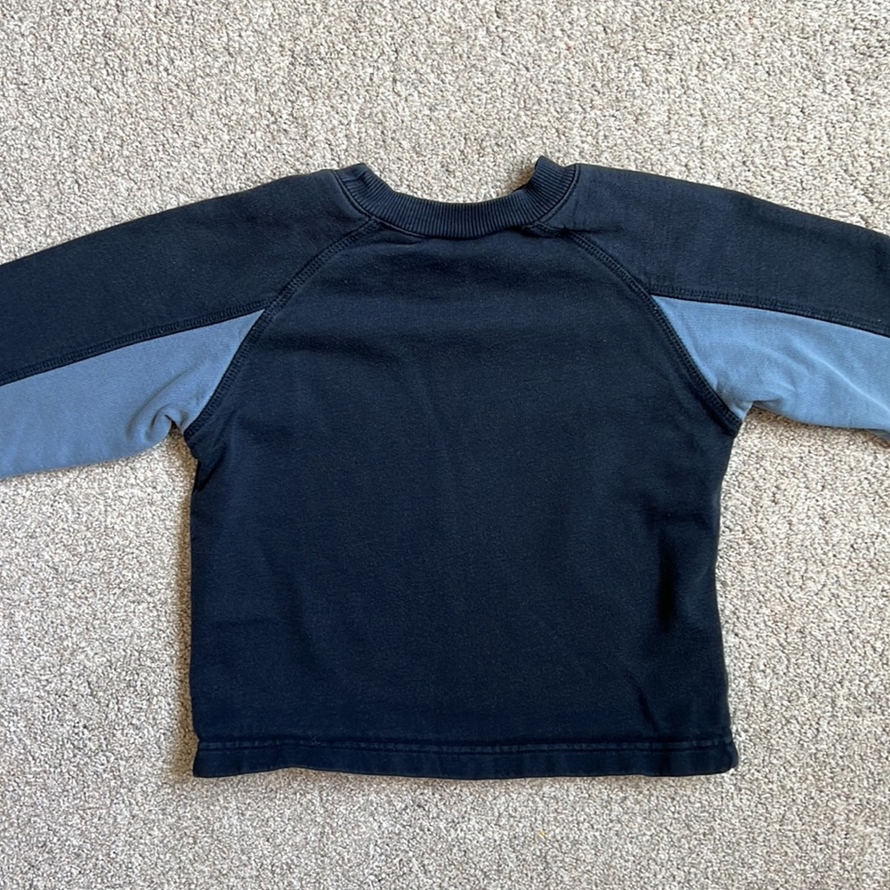 Gymboree Crewneck Sweater